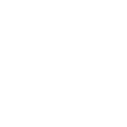 ce logo Pontiac